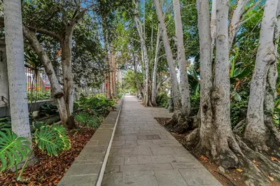 Jardín al aire libre en Lovely Stay Arucas
