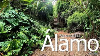 Plano de La Herbolera Vv