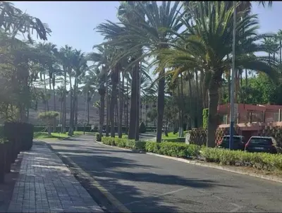 Jardín al aire libre en Meloneras Maspalomas Pasito Blanco