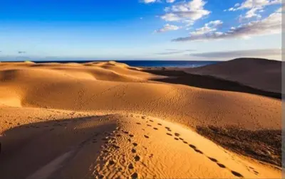 Paisaje cerca de este camping