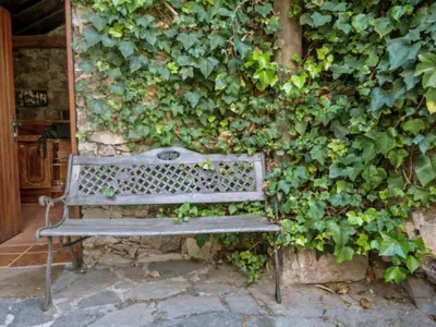 Jardín al aire libre en Casa Rural Pepita - Gran Canaria Center - Tejeda
