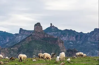 Paisaje cerca de este apartamento