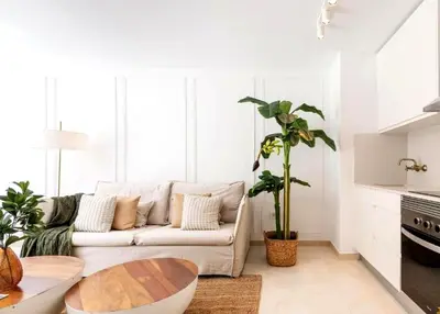 Zona de estar de Orinoco Sunhaven