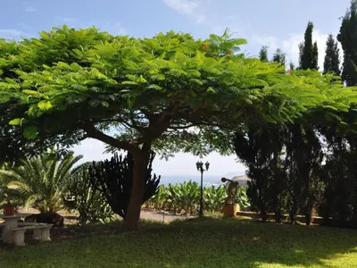 Jardín al aire libre en Holiday Home Finca Hacienda mit eigenem Schwimmbad by Interhome