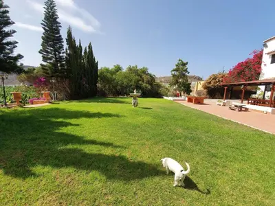 Jardín al aire libre en Holiday Home Finca Hacienda mit eigenem Schwimmbad by Interhome