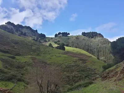 Paisaje cerca de esta casa o chalet