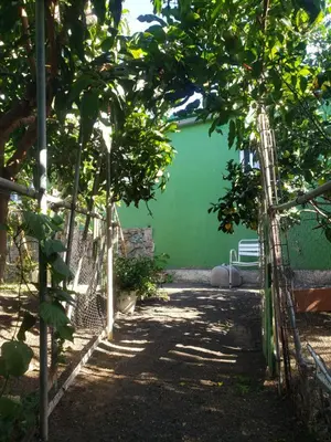 Jardín al aire libre en Finca wawa Gran Canaria