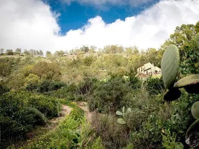 Paisaje cerca de esta casa o chalet