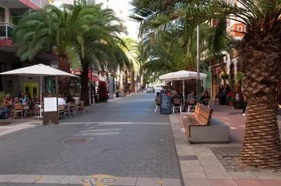 El barrio de los alrededores o un barrio cerca de este apartamento