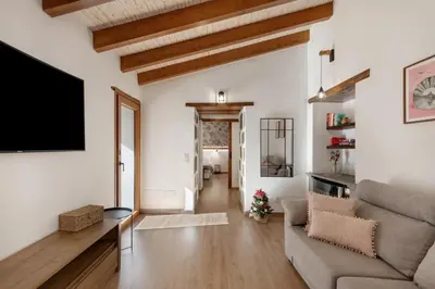Una televisión o centro de entretenimiento en La Pelusa casa rural