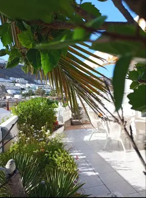 Paisaje cerca de este apartamento