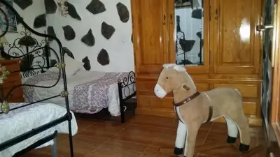 Animales en la casa o chalet o alrededores