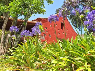 Jardín al aire libre en CASA RURAL CON PISCINA PRIVADA El ROBLE
