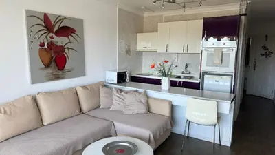 Una cocina o zona de cocina en Aloe New Excellence