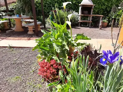 Jardín al aire libre en Barrancolaurel
