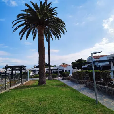 Jardín al aire libre en Maspalomas Lago Canary Sunset