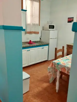 Una cocina o zona de cocina en Apartamentos Buen Leon