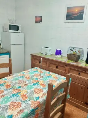 Una cocina o zona de cocina en Apartamentos Buen Leon