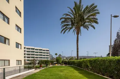 Jardín al aire libre en Los Ficus, Maspalomas