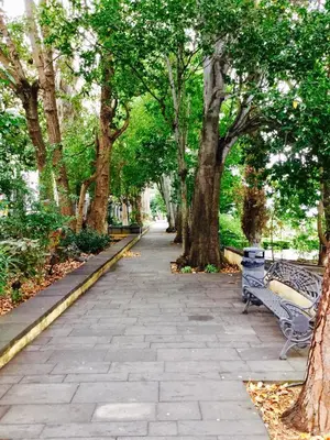 Jardín al aire libre en CASA ISABEL CENTRO Histórico