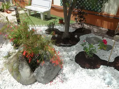 Jardín al aire libre en Siesta Suites