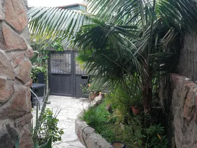 Jardín al aire libre en Casa El Drago-TAFIRA BAJA
