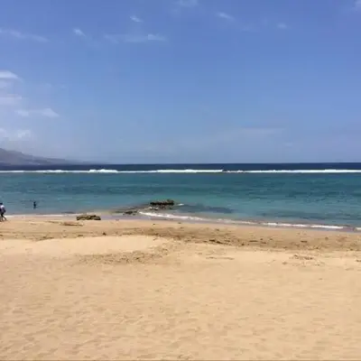 Estudio Paseo Las Canteras
