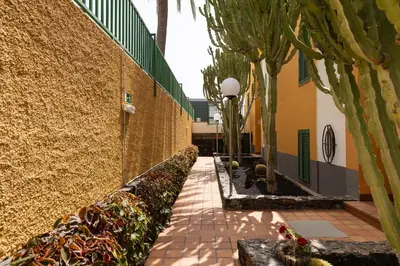 Jardín al aire libre en Apartamentos Cordial Judoca Beach