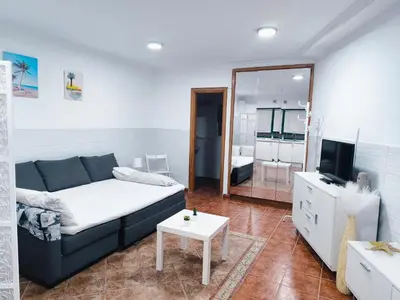 Una televisión o centro de entretenimiento en Bonito y elegante loft