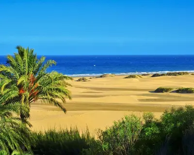 Paisaje cerca de este apartamento