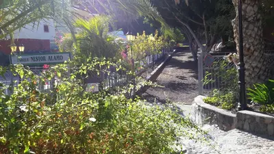 Jardín al aire libre en Canary House