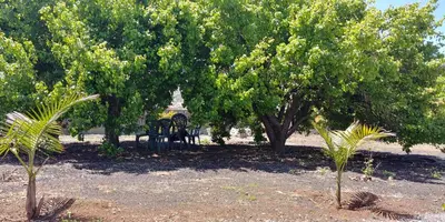 Jardín al aire libre en Casa La Caldera
