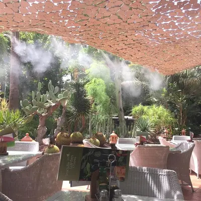 Jardín al aire libre en Hotel Parque Tropical