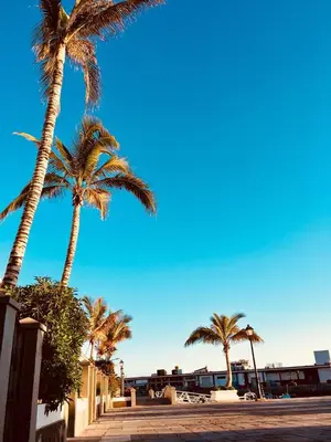 Plano de Mogan Beach | CarmitAtHome