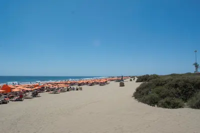Paisaje cerca de este apartamento