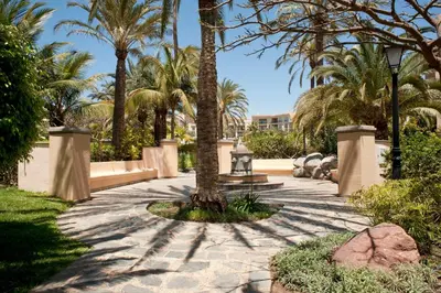 Jardín al aire libre en Palm Oasis Maspalomas