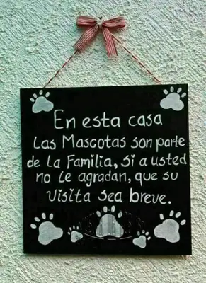 Certificado, premio, señal o documento que está expuesto en Fano's House - Habitaciones en vivienda particular