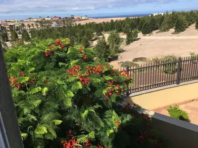Paisaje cerca de esta casa o chalet