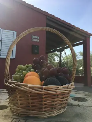 Plano de Villa Rafael