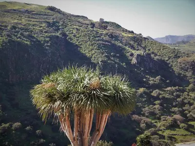 Paisaje cerca of this country house