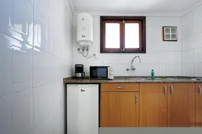 Una cocina o zona de cocina en Apartamentos Strelitzias