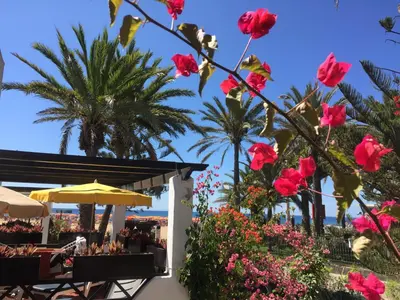 Jardín al aire libre en Casa Maspalomas