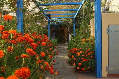 Jardín al aire libre en Finca Cortez