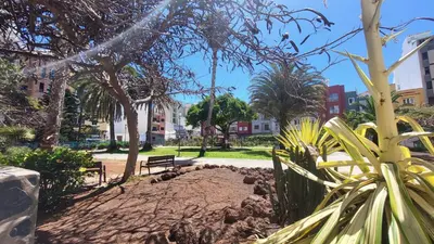 Jardín al aire libre en Next to the beach 5 beds - Wifi by CanariasGetaway