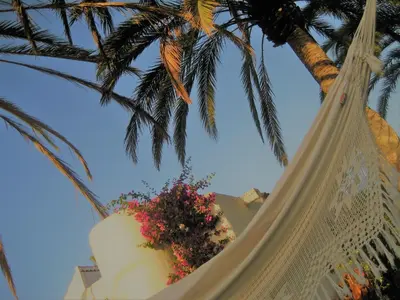 Plano de Birdcage Gay Men Resort and Lifestyle Hotel