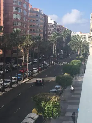 El barrio de los alrededores o un barrio cerca de este apartamento