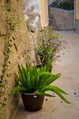 Jardín al aire libre en Casa Piedra Picuda 1