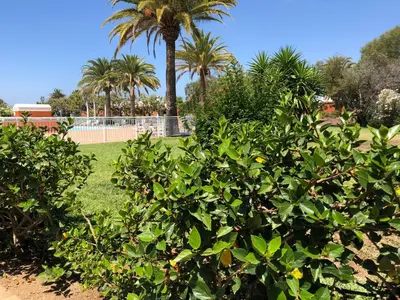 Jardín al aire libre en TC Bungalow Melocotones 15