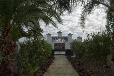 Jardín al aire libre en Luxury Poolside Holiday Home