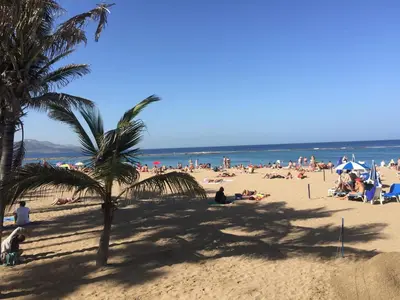 Paisaje cerca de este apartamento